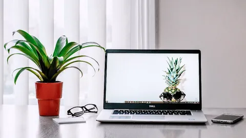 Laptop on a white desk next to a potted plant